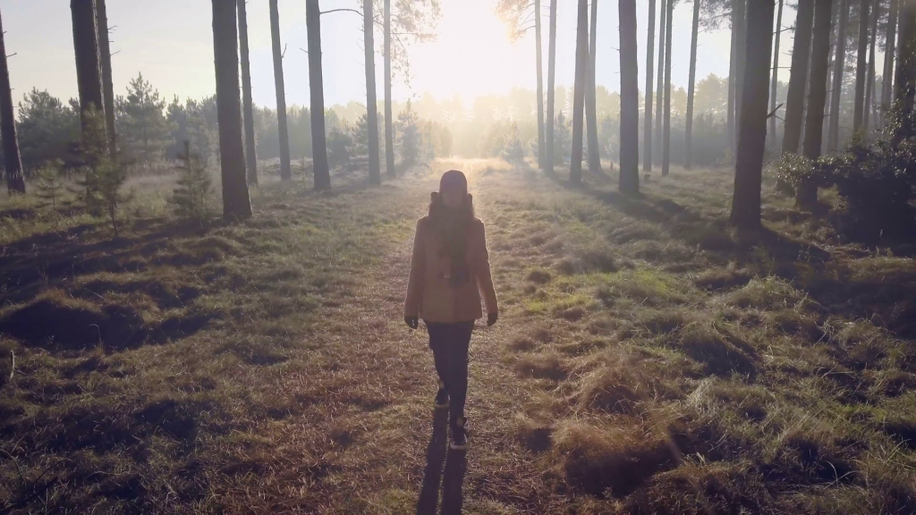 into-the-woods-girl-walking-into-winter-forest-sun-behind-her_bfd2unrvg_thumbnail-full01